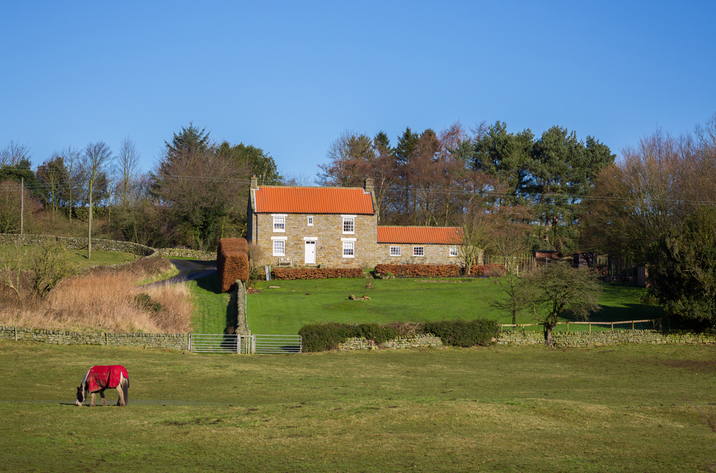 Curly Tail Cottage