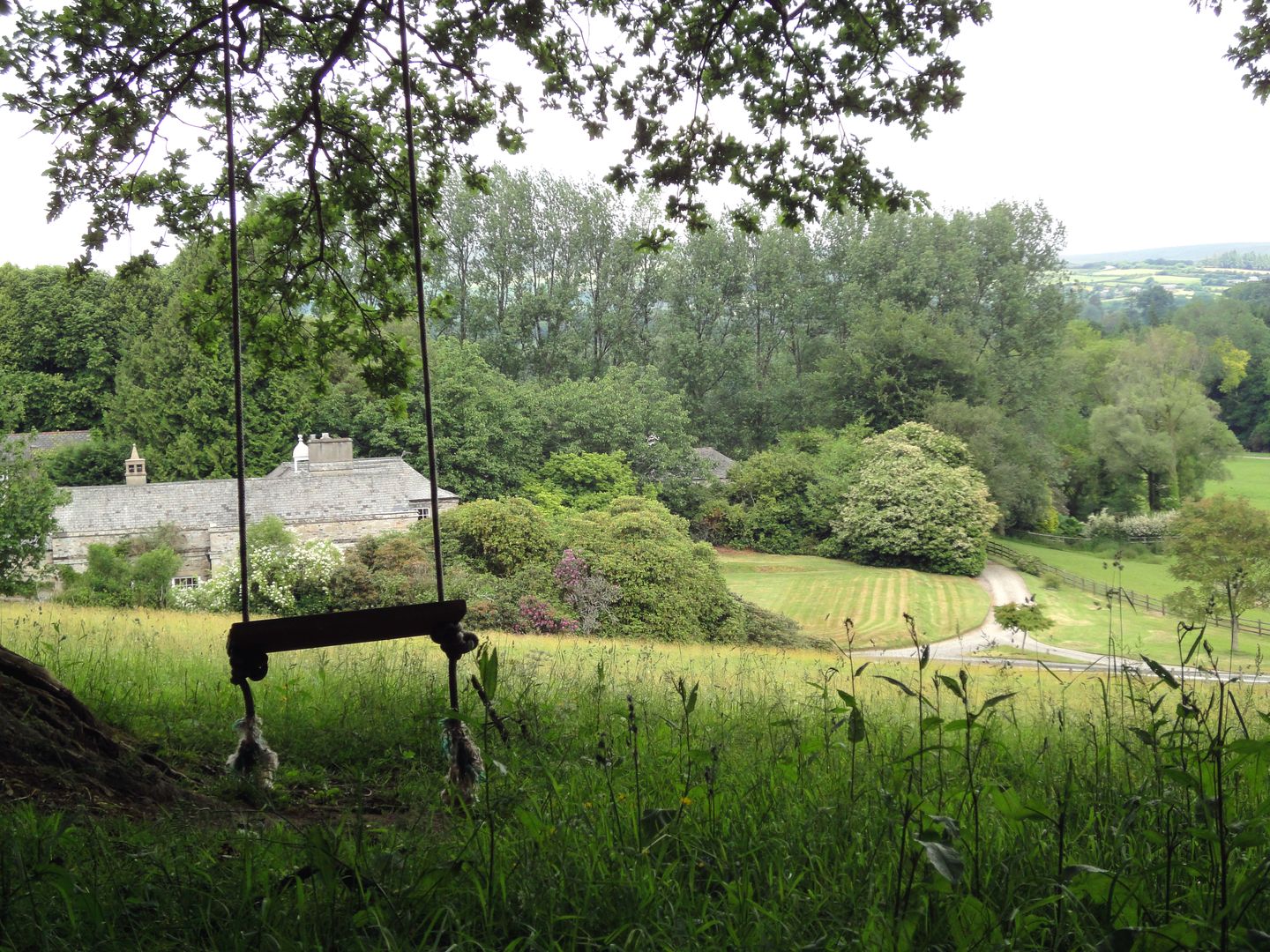 Pigwigs Place