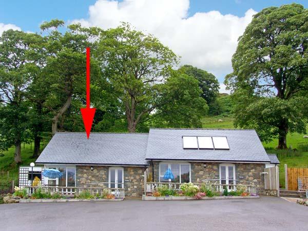 Arenig