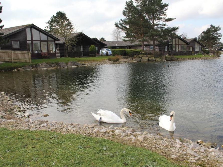 Hope Lodge