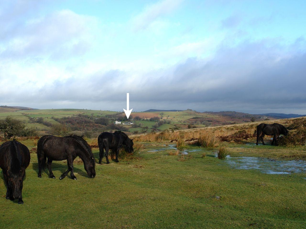 Hay Tor Cottage