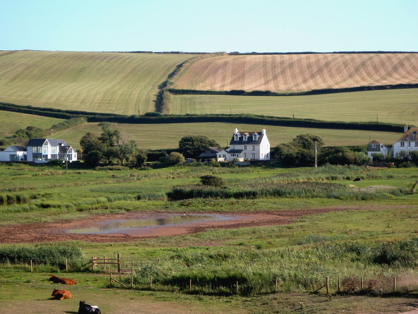 Thornbrook