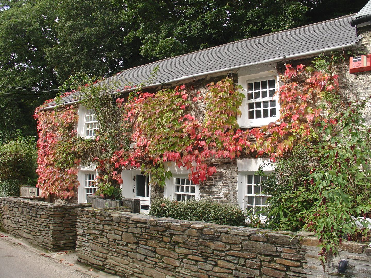 Willow View